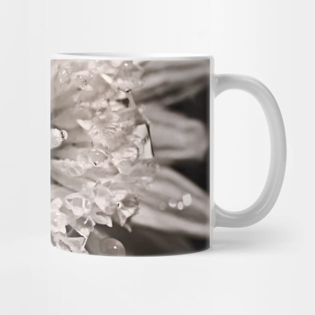 Cupping Crystals by micklyn